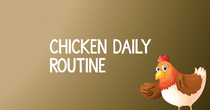 Analysis Of The Daily Routine Of Chickens (Behavioral Research)