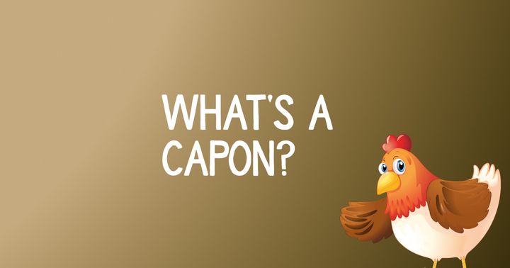 What Kind Of Chicken Is A Capon?